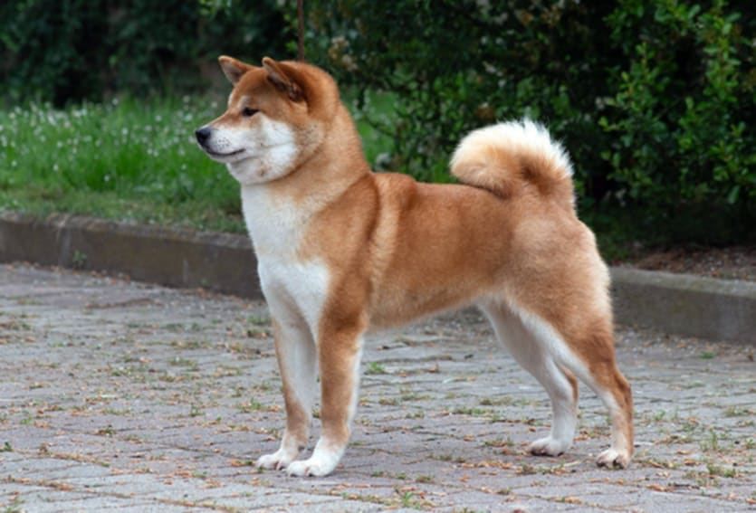 Lovable leslie at petroio